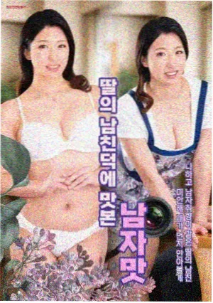 推荐：花与月